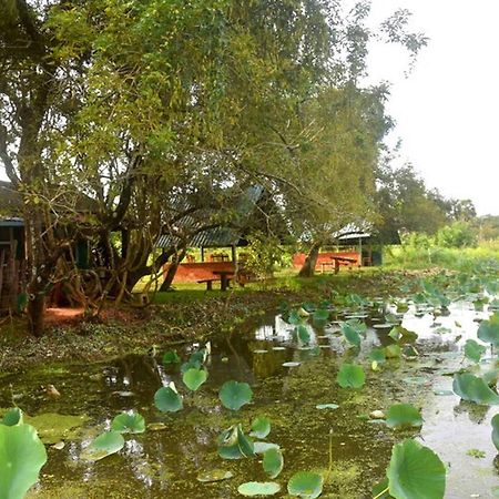 Meegahapokuna Resort Anurâdhapura Extérieur photo