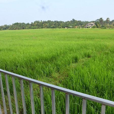 Meegahapokuna Resort Anurâdhapura Extérieur photo