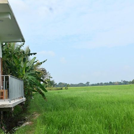 Meegahapokuna Resort Anurâdhapura Extérieur photo