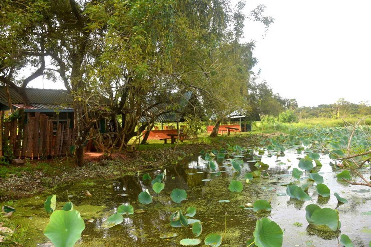 Meegahapokuna Resort Anurâdhapura Extérieur photo
