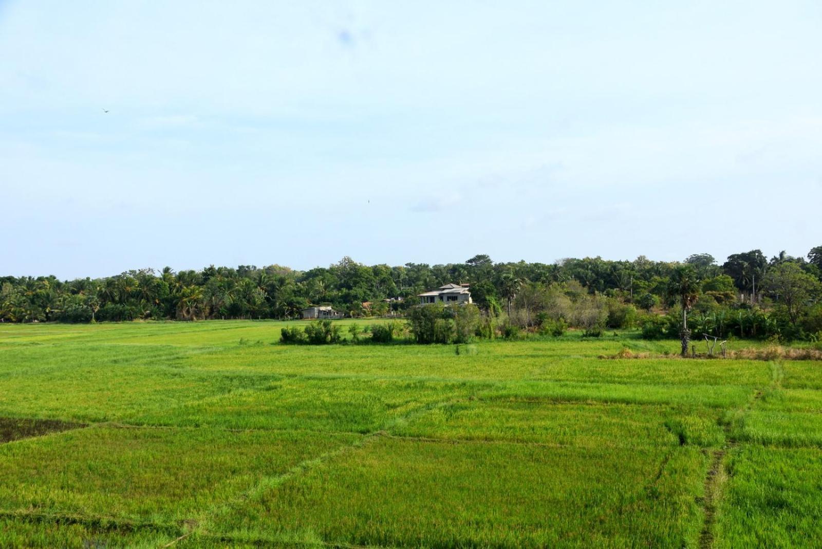 Meegahapokuna Resort Anurâdhapura Extérieur photo