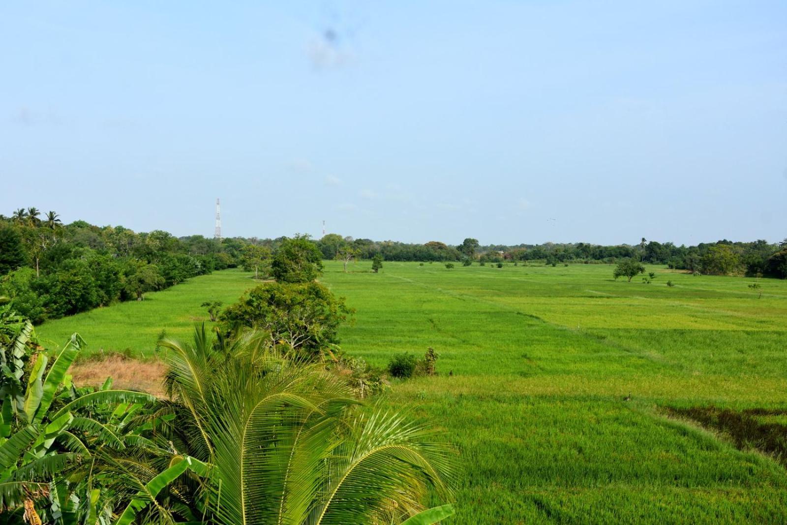 Meegahapokuna Resort Anurâdhapura Extérieur photo