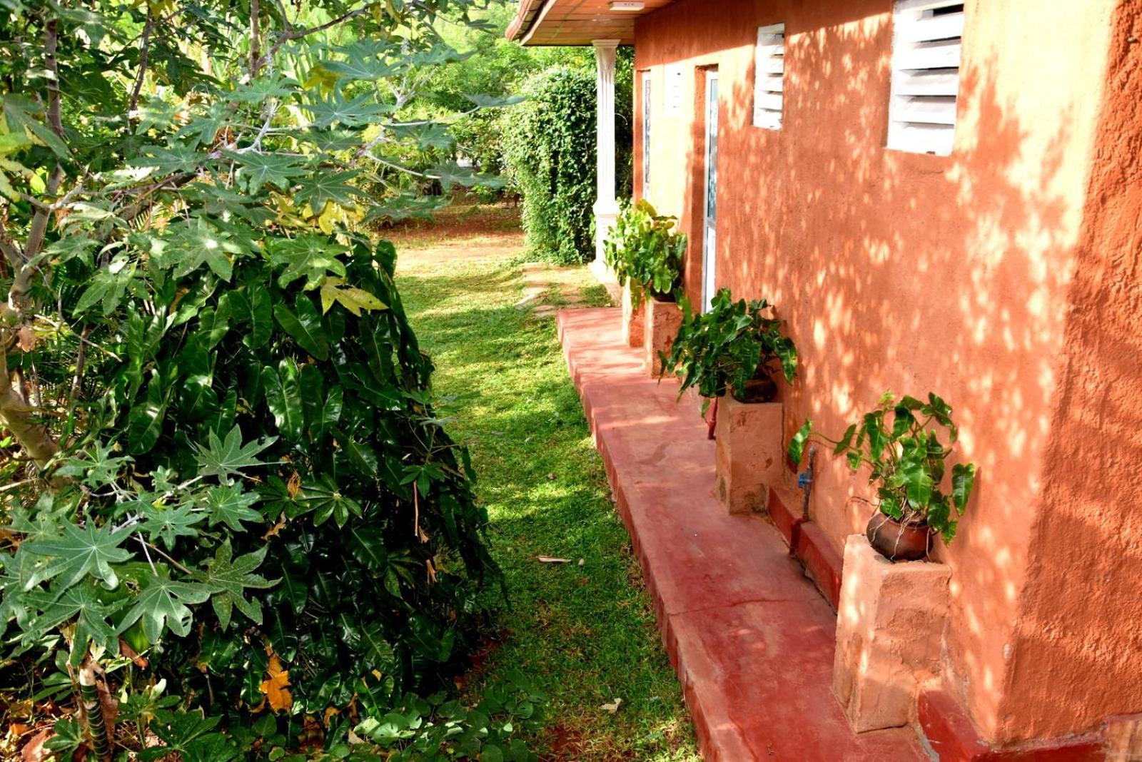 Meegahapokuna Resort Anurâdhapura Extérieur photo