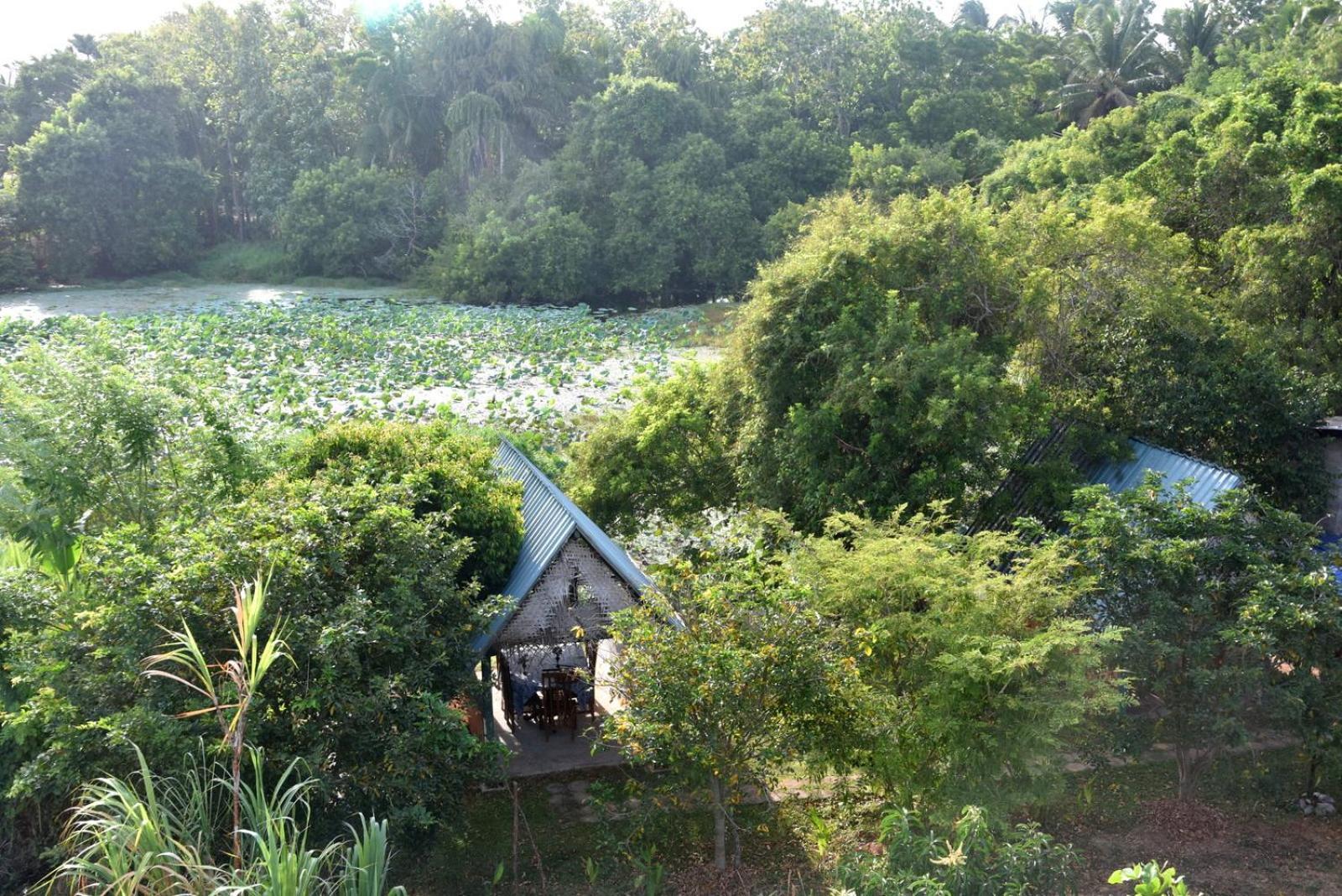 Meegahapokuna Resort Anurâdhapura Extérieur photo