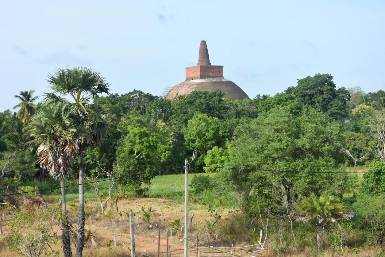 Meegahapokuna Resort Anurâdhapura Extérieur photo