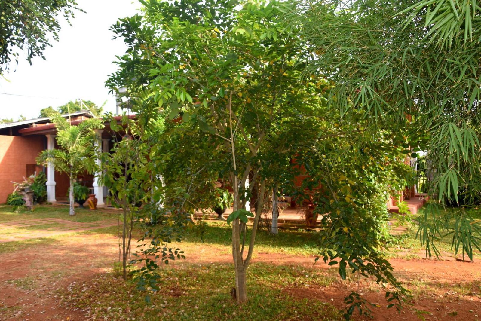 Meegahapokuna Resort Anurâdhapura Extérieur photo