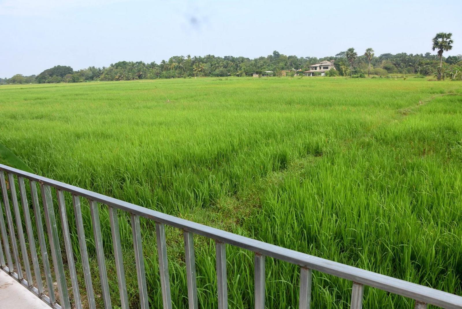 Meegahapokuna Resort Anurâdhapura Extérieur photo